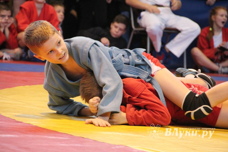 Открытый турнир по самбо «Новогодняя звезда-2019» прошел в Великих Луках (ФОТО)