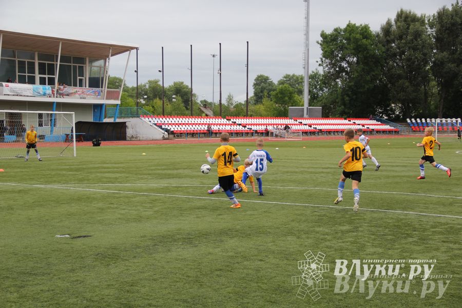 В Великих Луках состоялся Всероссийский турнир «Загрузи себя футболом» (фото)