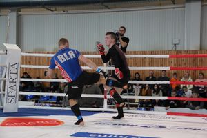 Открытый кубок по смешанному боевому единоборству ММА прошел в Великих Луках (ФОТО)