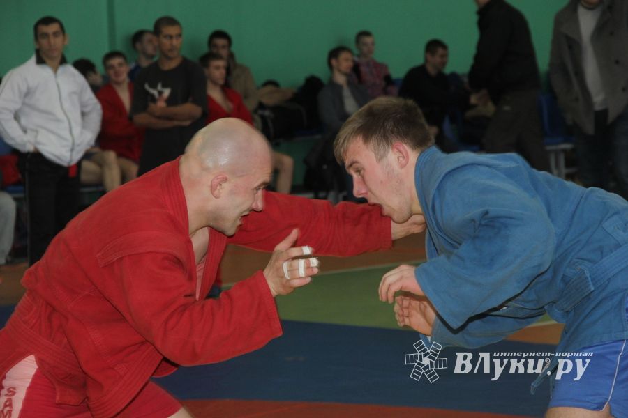 В Великих Луках прошел турнир по самбо, посвященный подвигу Александра Матросова (ФОТО)