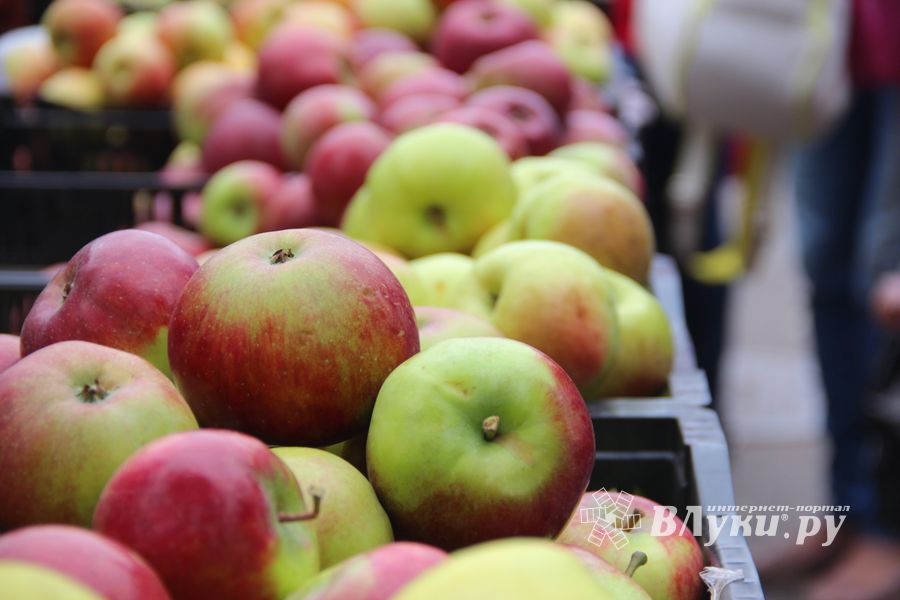 Ярмарка «Осень-2017» (ФОТО)