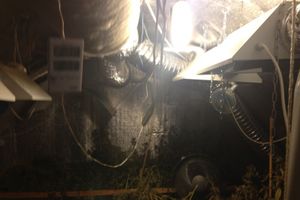 В Псковской области полиция обнаружила подпольную нарколабораторию (ФОТО)