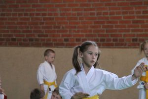 Турнир по каратэ