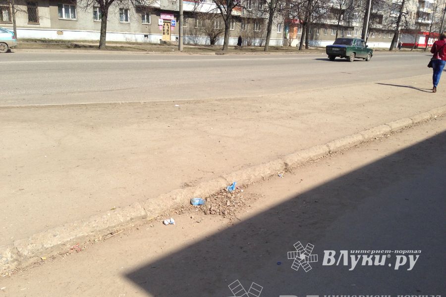 Весне дорогу!