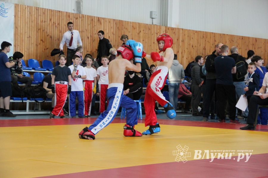 Фестиваль боевых искусств прошел в Великих Луках (ФОТО)