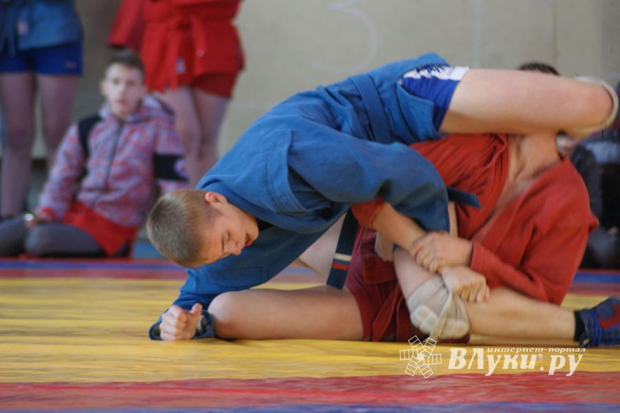 Великолучане завоевали призовые места на турнире по самбо «Память» (ФОТО)