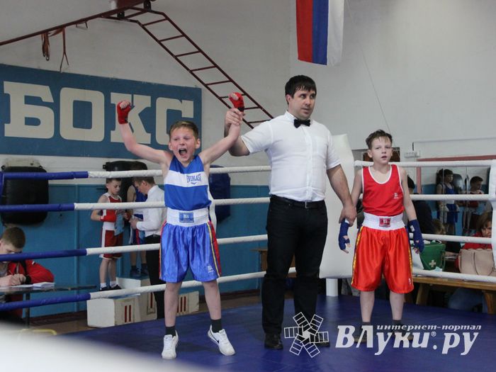 Юные великолучане выявили сильнейших боксёров (ФОТО)