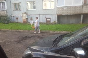 ФОТОФАКТ: Тяжелые отношения собак и газонов 