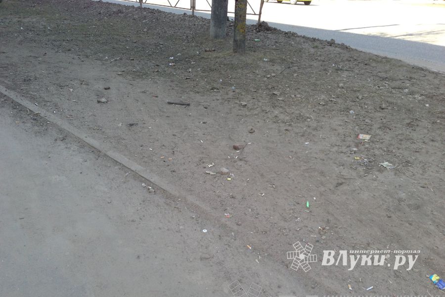 Весне дорогу!