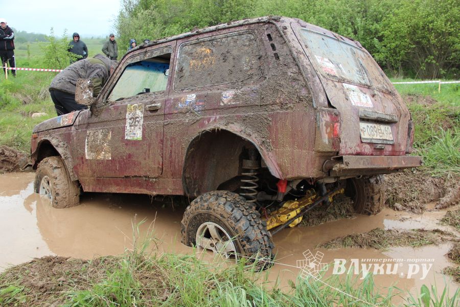 Кураж (ФОТО)