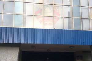 Великолукские пловцы привезли награды с Чемпионата и Первенства области (ФОТО)