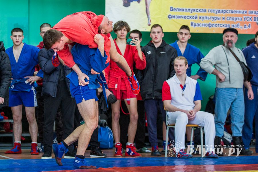 Фото: Александр Воробьев Великолучане завоевали награды Всероссийских соревнований по самбо