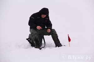 Подведены итоги Открытого чемпионата Великих Лук по рыболовному спорту (фото)