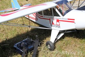 В Великих Луках прошел Фестиваль авиамодельного спорта (фото)