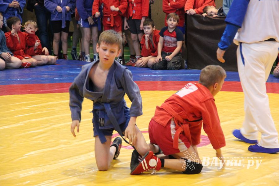 В Великих Луках проходит турнир самбистов (ФОТО)