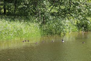 Праздник поэзии