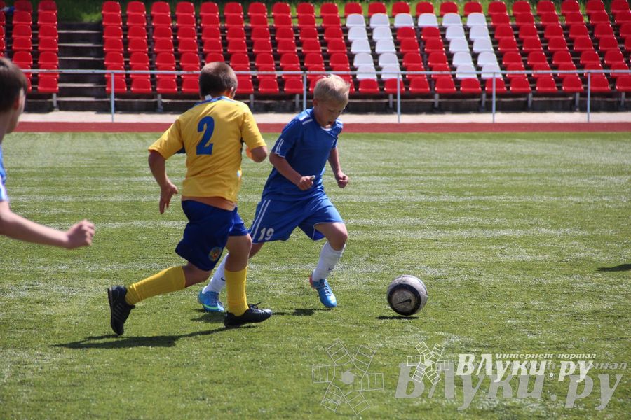 «Локобол-2013» в Великих Луках