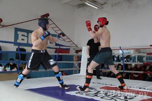 В Великих Луках прошел Чемпионат области по смешанному боевому единоборству (фото)