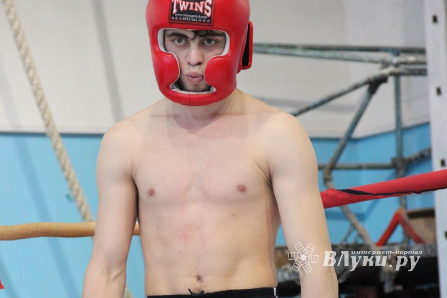 Открытый Кубок города Великие Луки по смешанному боевому единоборству (ММА)