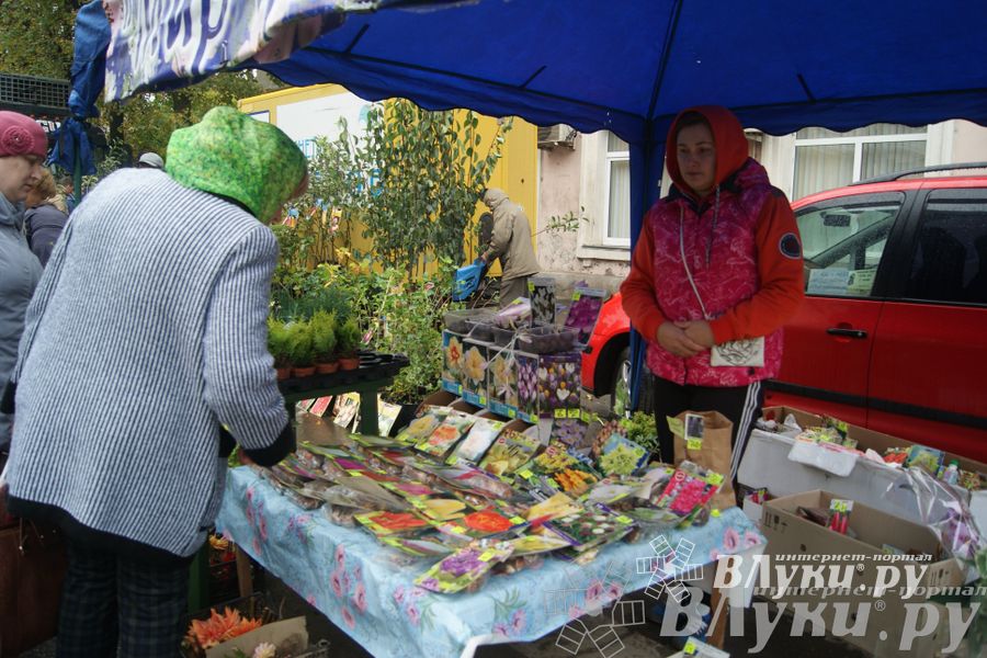 ​Универсальная торговая ярмарка «Осень – 2014» состоялась  в Великих Луках