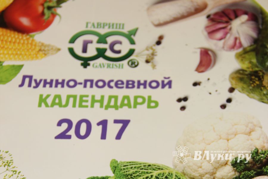 В ДК ЛК открылась 7-я Великолукская универсальная выставка (ФОТО, ВИДЕО)