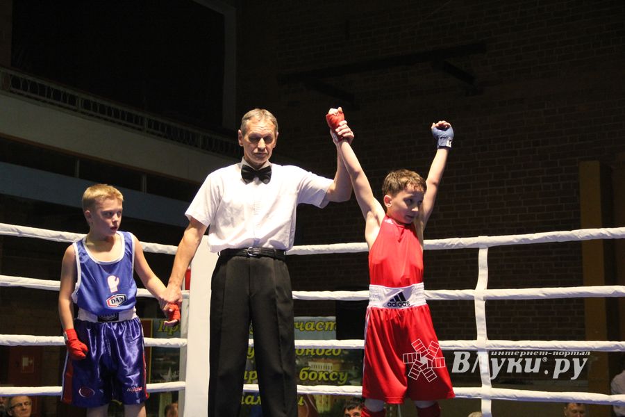 В Великих Луках проходят соревнования по боксу памяти Е.А. Клевцова (фоторепортаж)