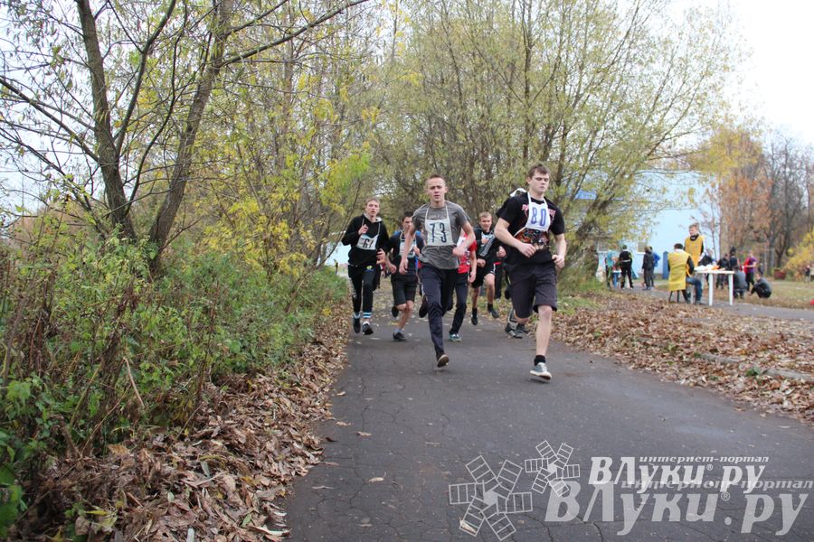 Легкоатлетический осенний кросс прошел в Великих Луках (фото)