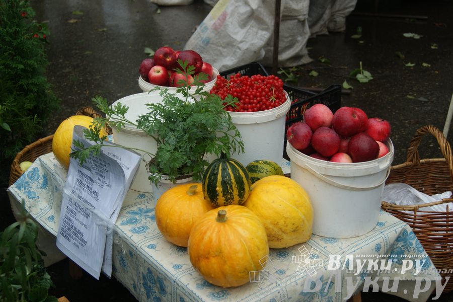 ​Универсальная торговая ярмарка «Осень – 2014» состоялась  в Великих Луках