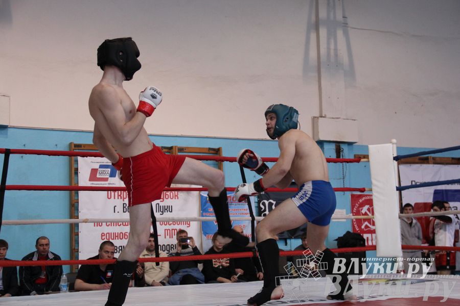 Открытый Кубок города Великие Луки по смешанному боевому единоборству (ММА)