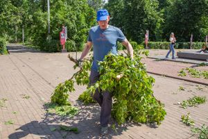 Небезразличные великолучане помогают убрать город после урагана (ФОТО)