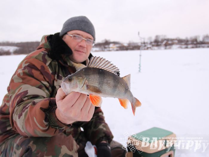 Подведены итоги Открытого чемпионата Великих Лук по рыболовному спорту (фото)