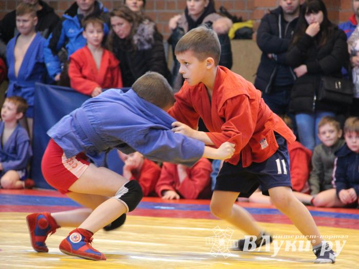 Открытый турнир по самбо «Новогодняя звезда-2019» прошел в Великих Луках (ФОТО)
