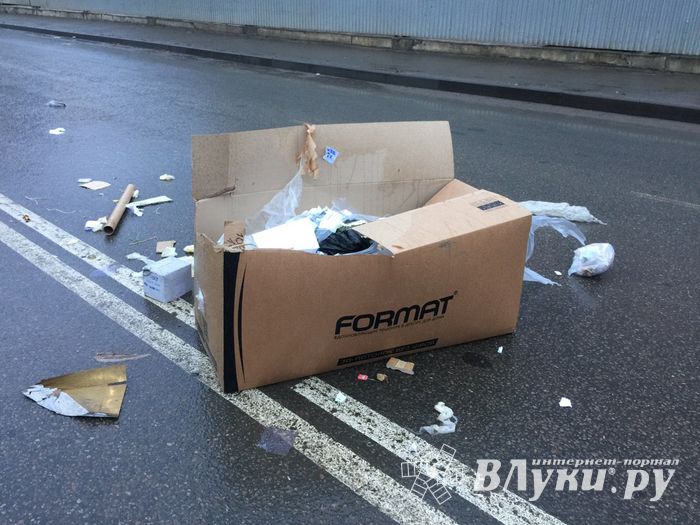 Неопознанный валяющийся объект «украсил» дорогу в Великих Луках.