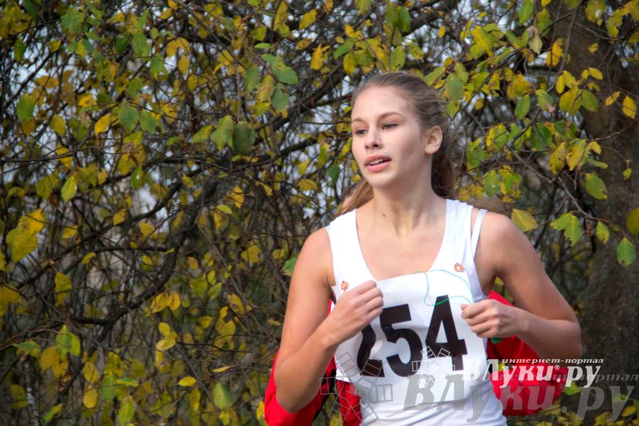 В Великих Луках прошел «Осенний кросс» 