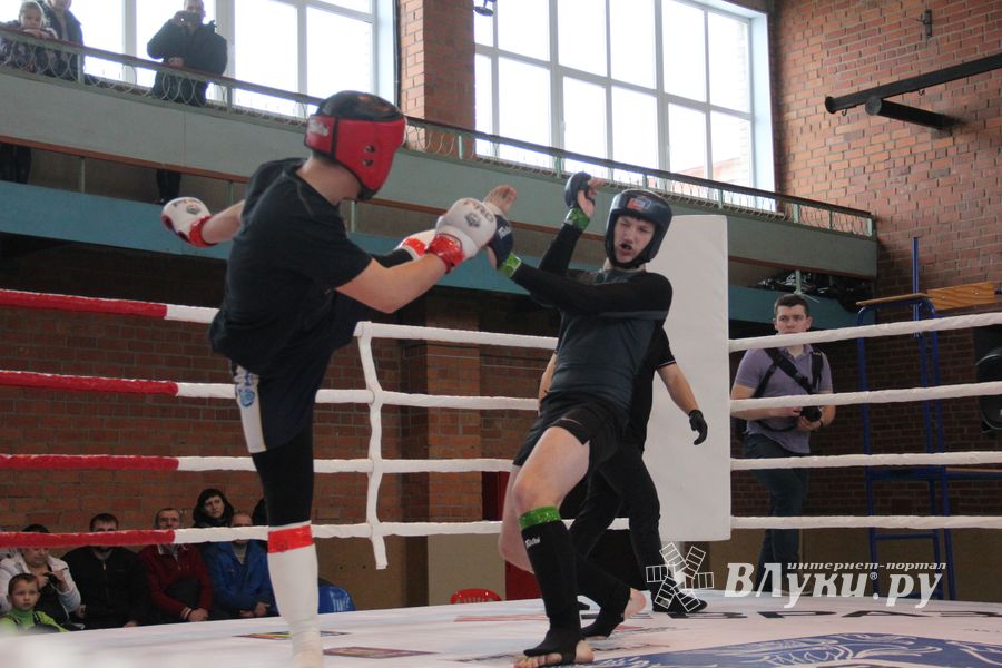 В Великих Луках прошел международный открытый Кубок по смешанному боевому единоборству (ФОТО) (16+)