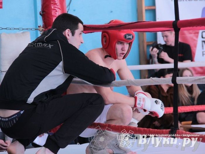 Чемпионат Псковской области по ММА