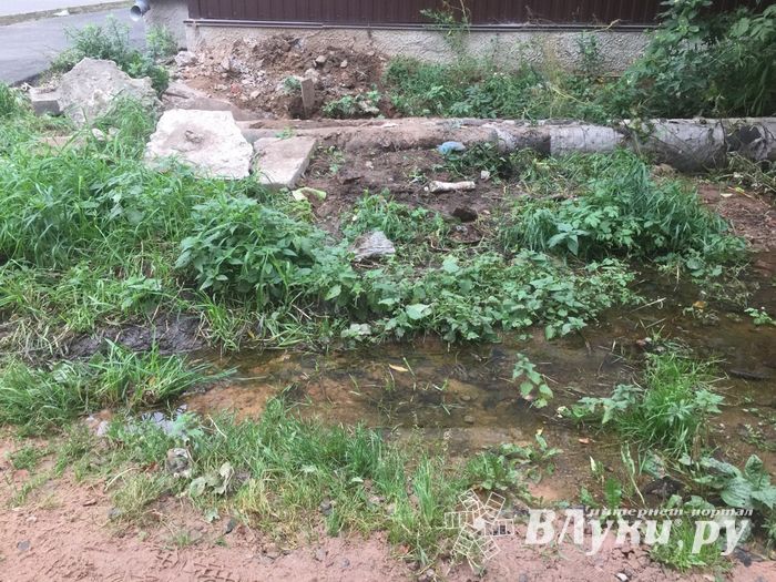 В Великих Луках забил «гейзер», по словам коммунальщиков, «рядовая ситуация» (ФОТО+ЗВУК)