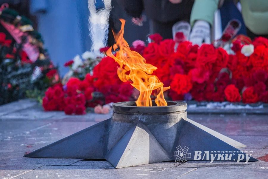 © ВЛуки.ру