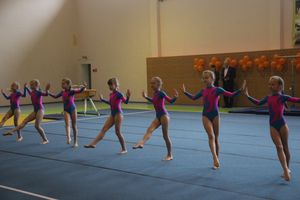 Парад гимнастики