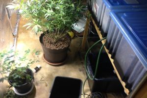 В Псковской области завершилась операция «Мак» (фото)