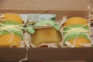 Где в Великих Луках попробовать живой шоколад на меду и вздремнуть на ульях?