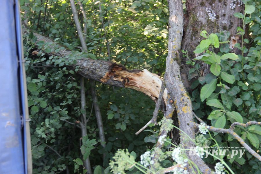 В страшном ДТП под Куньей погибли бабушка, дедушка и внучка (ФОТО)