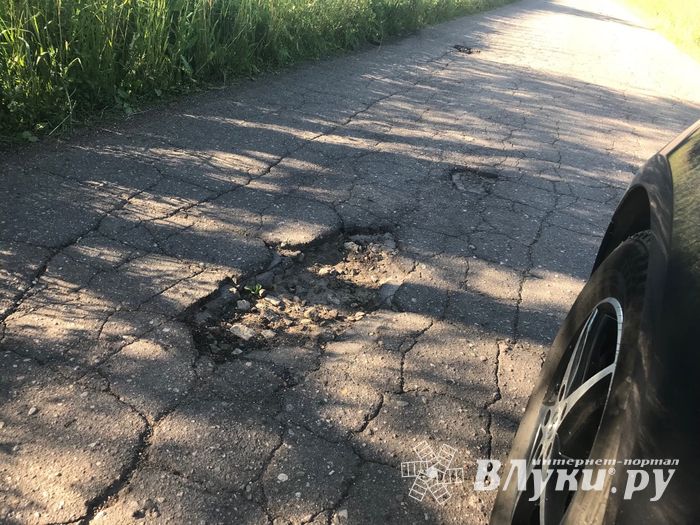 Губернатора просят отремонтировать дорогу в Рыжаково (ФОТО)