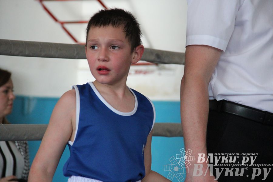 Первенство города по боксу