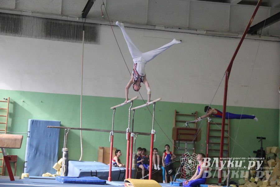 В Великих Луках прошел турнир по спортивной гимнастике (фото)