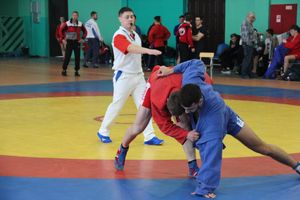 Самбисты поборолись на крупном турнире в Великих Луках (ФОТО)