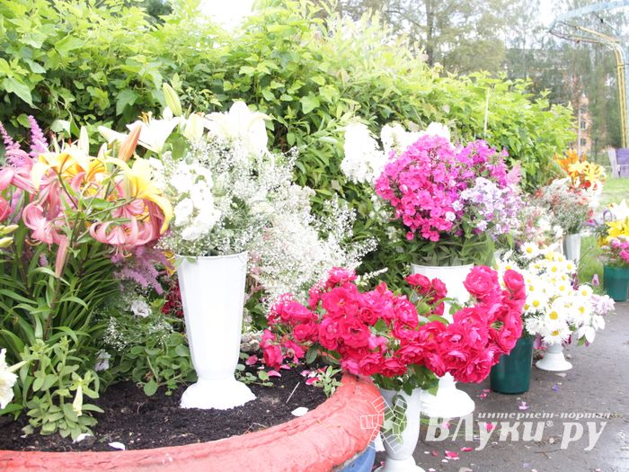 «Парад детских колясок» в День семьи, любви и верности (ФОТО)