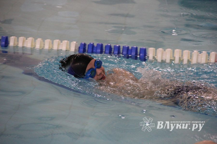 Соревнования по плаванию на призы Деда Мороза прошли в Великих Луках (ФОТО)