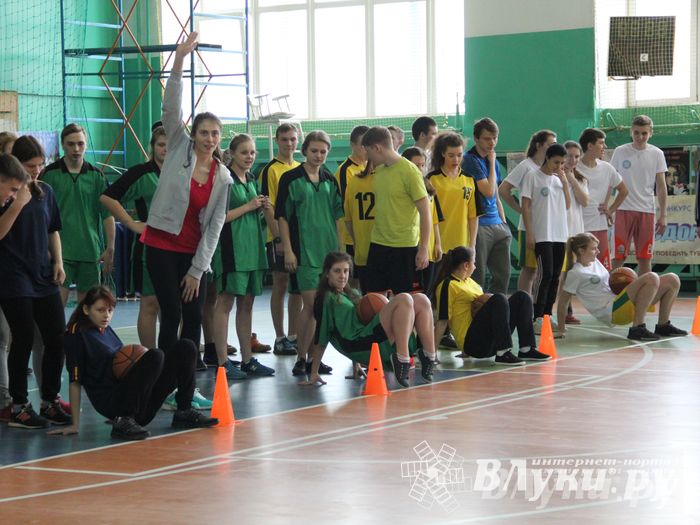В Великих Луках прошли соревнования на Кубок Красного Креста