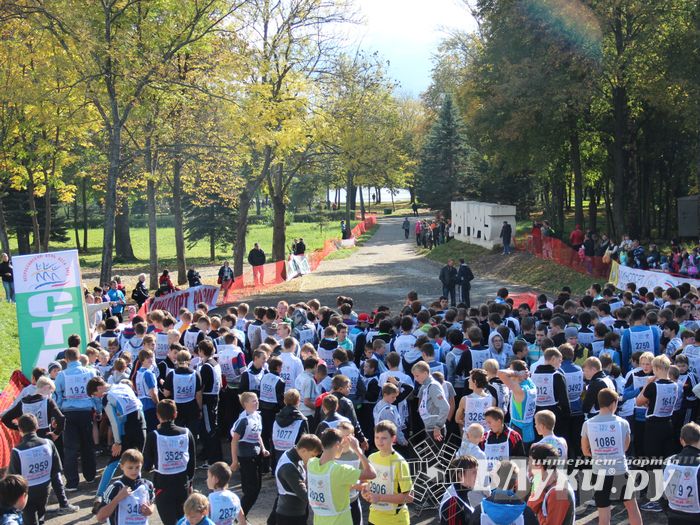 Кросс нации